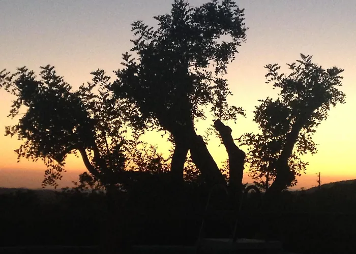Glamping Casa Esteval